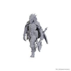 Blackguard: D&D Nolzur's Marvelous Unpainted Miniatures