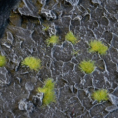 Tiny Tufts - Dark Moss 2mm