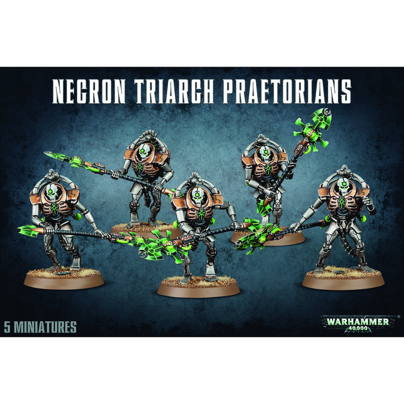 Necrons: Lychguard/Triarch Praetorians