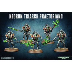 Necrons: Lychguard/Triarch Praetorians